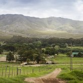 Klein River Cheese Farm